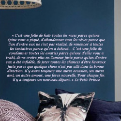 Texte : Extrait le Petit Prince - Typo Italique