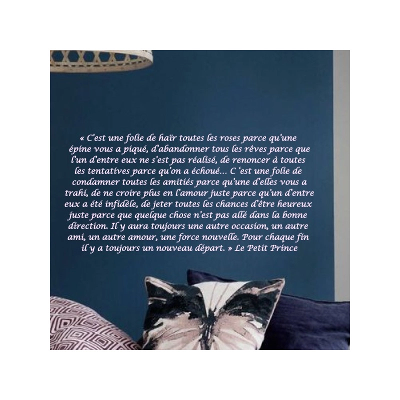 Texte : Extrait le Petit Prince - Typo Italique