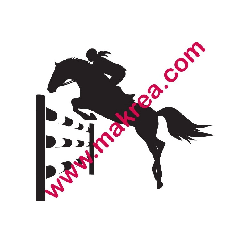 Equitation Cheval Saut d'obstacle